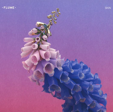 Flume-Skin-Duble-Vinyle-LP-CD-transparents