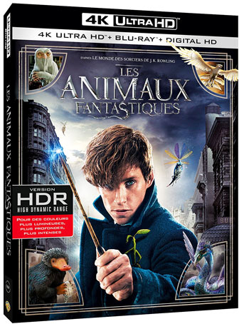 Blu-ray-4K-Les-animaux-fantastiques-Ultra-HD-film-4K