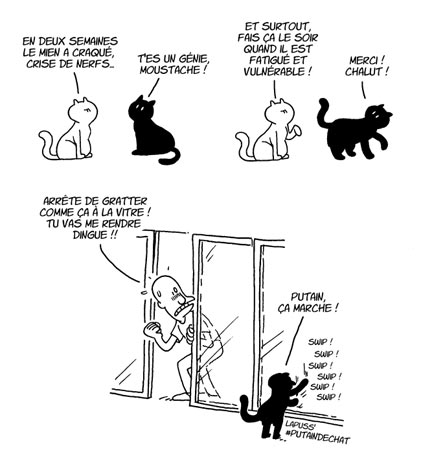 planche-chats