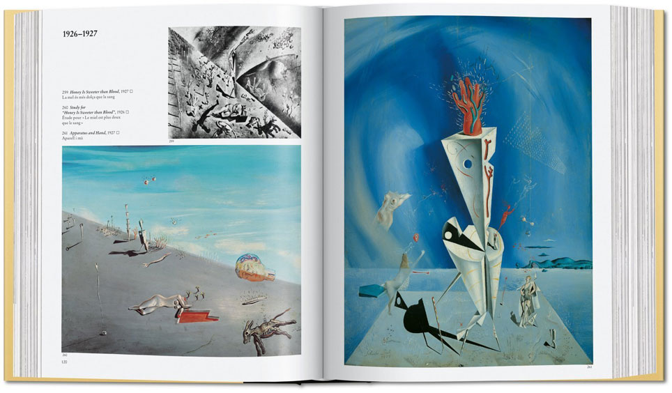 Dali oeuvre peint livre taschen 2019 2020