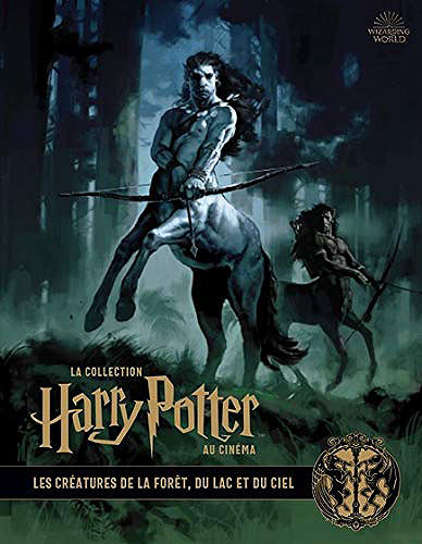 Livre collection Harry Potter au cinema noel 2019 volume tome 1